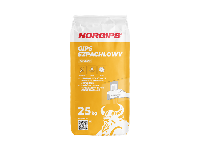 NORGIPS Start